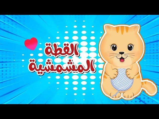 أغنية القطة المشمشية | اغاني اطفال قناة داني