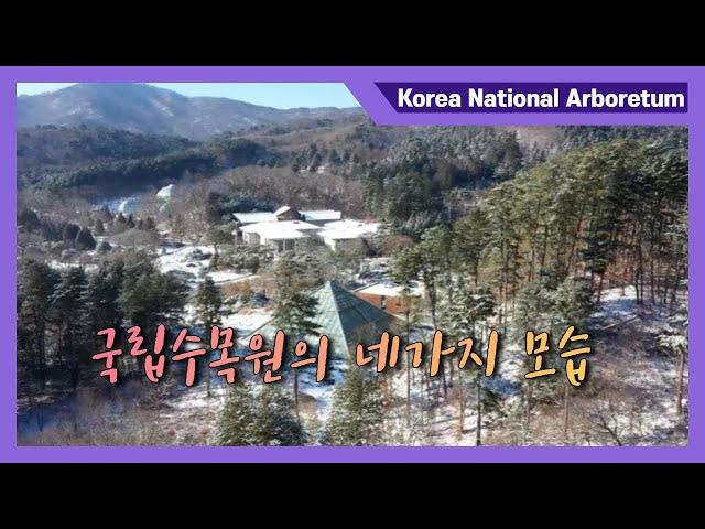 [광릉숲] 국립수목원의 사계