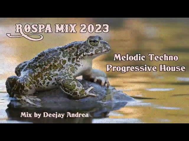 Deejay Andrea - Rospa Mix 2023 (Melodie Techno Progressive House)