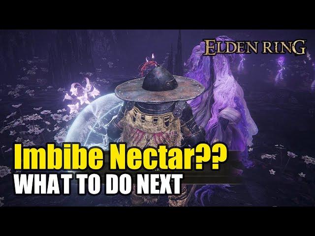 Imbibe Nectar? What To Do Next & Missable Quest | Shadow of Erdtree (Elden Ring DLC)