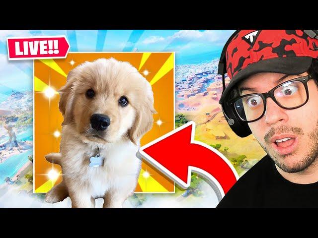 WE GOT A PUPPY!! New Fortnite Update! (Season 3)