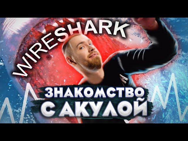 Как пользоваться Wireshark? Анализ трафика и расшифровка пакетов