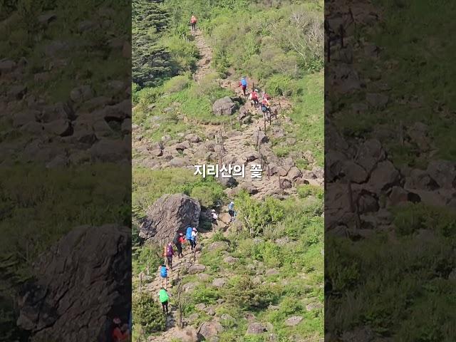 #연하선경 #여행그리기 #풍경그림 #포토존 #국내여행 #토토 #산행 #travel #지리산 #지리산종주