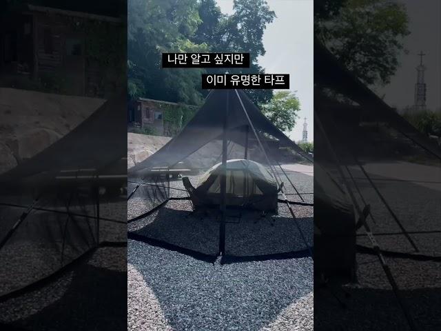나만 알고싶지만 이미 유명한 타프 #캠핑 #타프 #포레스트유