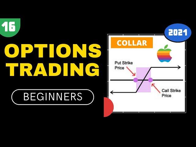 16 - COLLAR | The Complete Options Trading Course For Beginners 2021