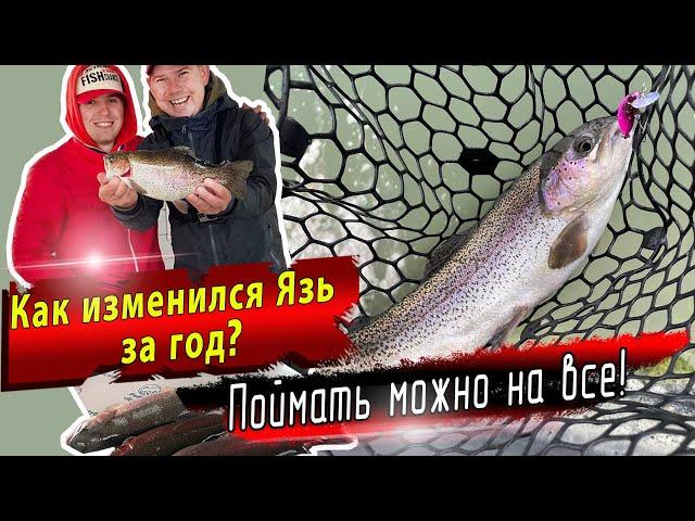 Рыболовный клуб Язь  | Осенняя ловля форели на приманки Jara Baits