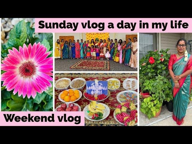  தமிழில் ~America Weekend vlog |Baby shower️️| Sunday vlog a day in my life tamil | Tamil school