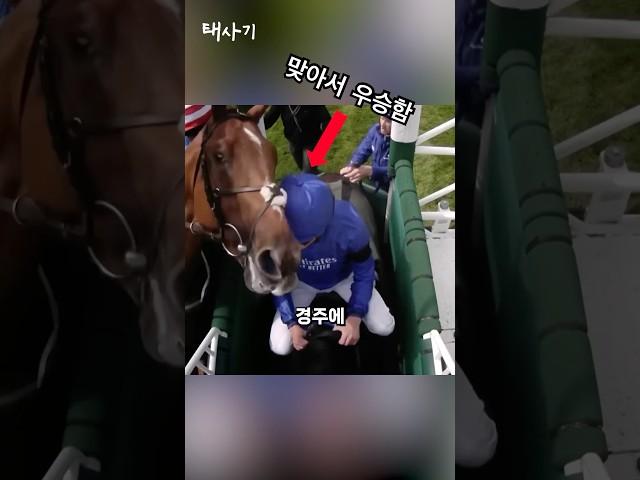 말 없이 경주에서 우승한 남자