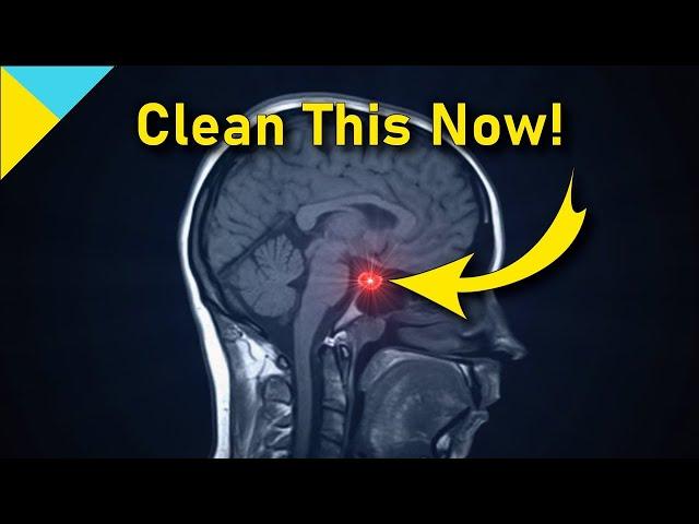 10100 Hertz: Heal Pituitary Gland  WAIT TILL 6 Mins! • Quantum Miracle Formula Frequency