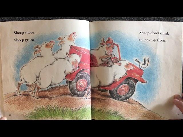 Sheep in a Jeep by Nancy Shaw