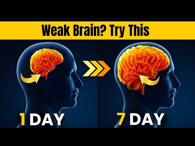 10 Brain Exercises to Improve Memory, Focus, and Mental Sharpness | Simple Workout Boost Brain Power