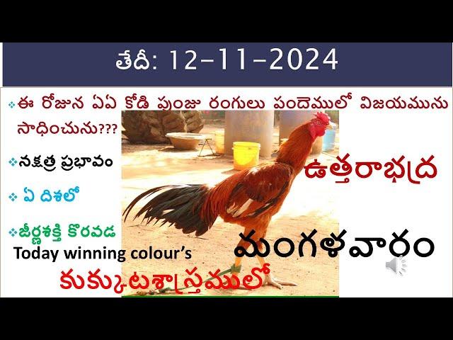 Kukkuta Sastram colour update/ today colour update/vision of kukkuta sastram colour updae