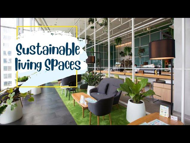 Sustainable Living Spaces Visualized