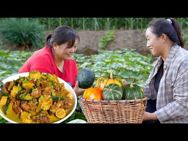 [Xia Jie in northern Shaanxi] The pumpkin in Xia Jie's field is ripe  and it is picked back and ste