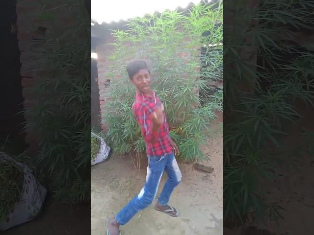 Sagar Roy