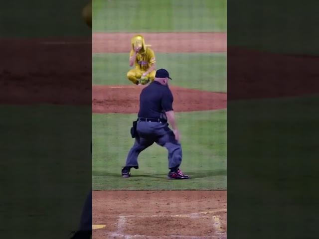 Umpire got BACK 🫣(@thesavbananas)