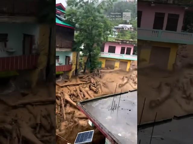 Landslide sweeps away trees in northern India | #shorts #newvideo #trending #subscribe #weather