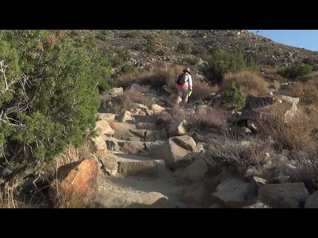 hiking Ryan Mountain in Joshua Tree National Park