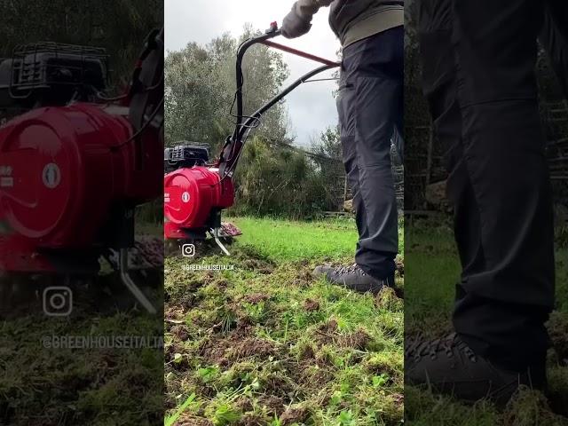 Power tiller tilling machine - new turfgrass project #giardinaggio #prato #tappetoerboso