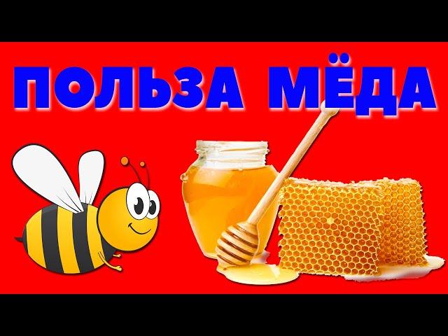 Полезные свойства меда / Польза меда для здоровья человека  / Чем полезен пчелиный мёд