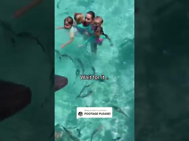 A little girl got bitten by a shark