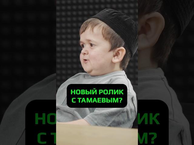 НОВЫЙ РОЛИК С ТАМАЕВЫМ? #hustleshow #адамзуба #тамби #хасбулла