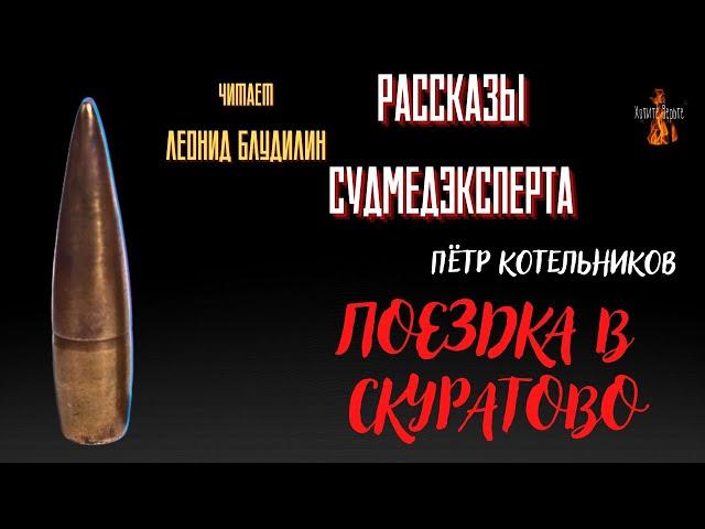 Рассказы Судмедэксперта: ПОЕЗДКА  В  СКУРАТОВО (автор: Пётр Котельников).