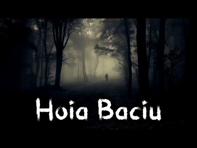 Padurea Hoia Baciu – documentar despre padurea bantuita de langa Cluj