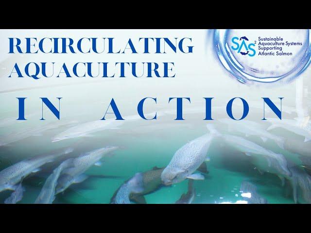 Showing a Recirculating Aquaculture System in Action