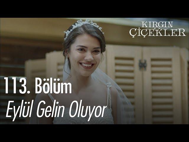 Eylül gelin oluyor - Kırgın Çiçekler 113. Bölüm | Final