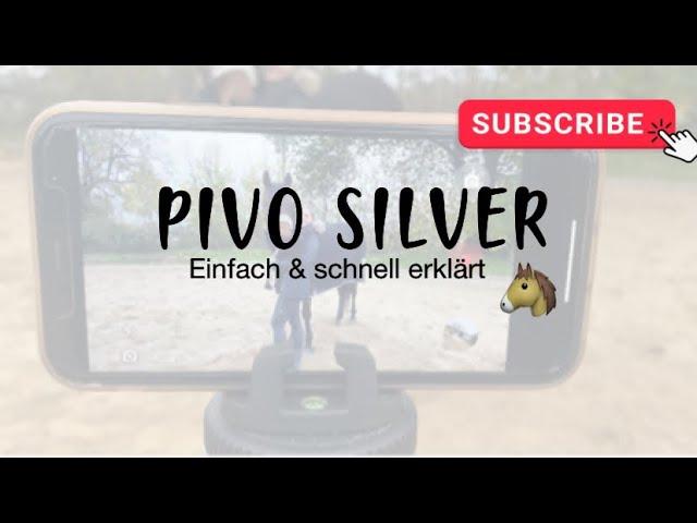 PIVO SILVER - Einfache Erklärung 