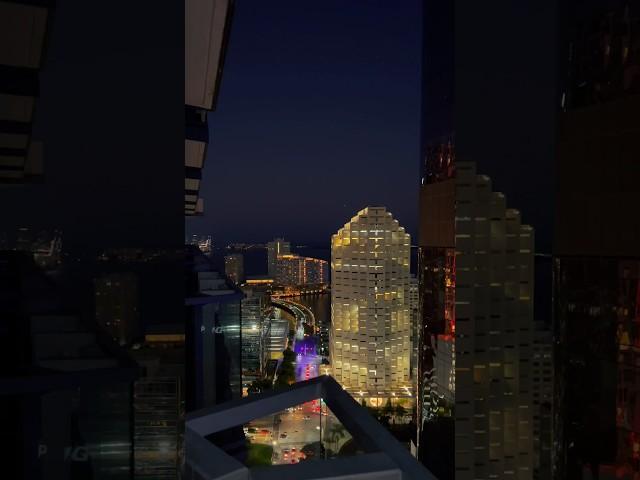 miami views 