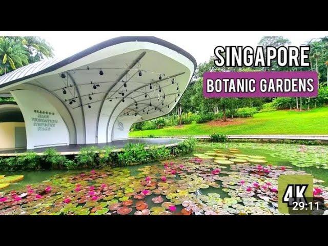 Botanic Gardens. Singapore  . walking tour Singapore botanic Gardens.