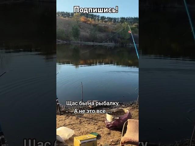 На рыбалку охота #рыбалка #рыболов #рыбалка2024 #ловлярыбы #лучшаярыбалка #удочка #рыба #приколы