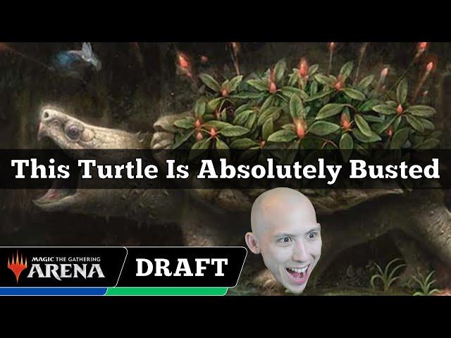 This Turtle Is Absolutely Busted | Bloomburrow Draft | MTG Arena