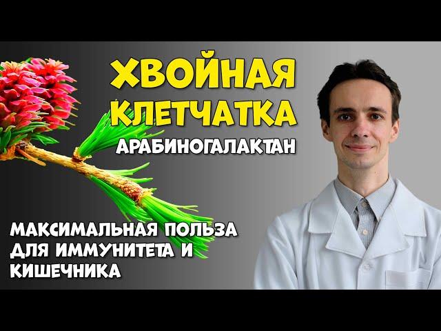 Уникальная хвойная клетчатка: усилит иммунитет и наладит баланс микрофлоры. Арабиногалактан