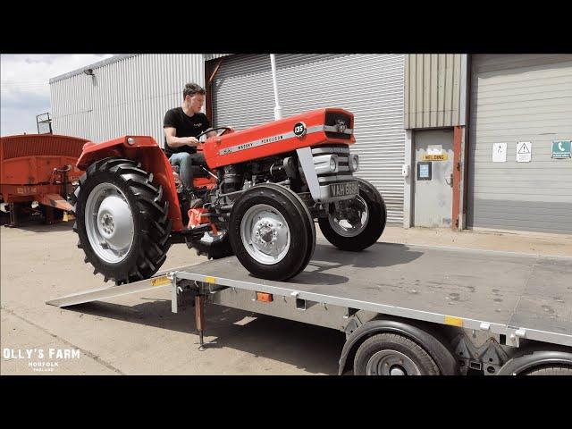 COLLECTING MY DREAM TRACTOR! THE RETURN OF THE MASSEY FERGUSON 135 PLUS PLANS FOR IT'S FUTURE!