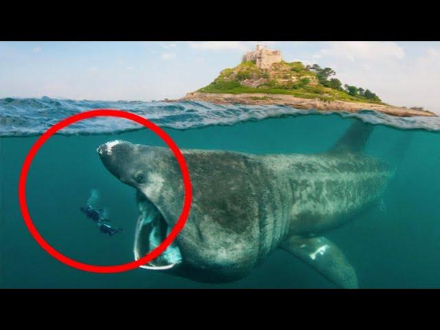 Top 10 Most Dangerous Waters In the World