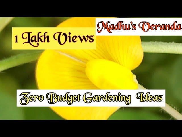 #Gardening # Madhu #Zerobudgetgardening