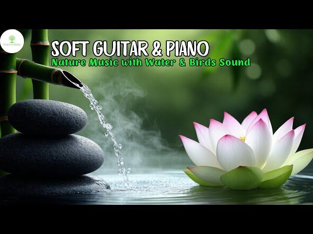  Relaxing Guitar and Piano with Nature Sounds, Forest Music, Sleep Music, Meditation Music