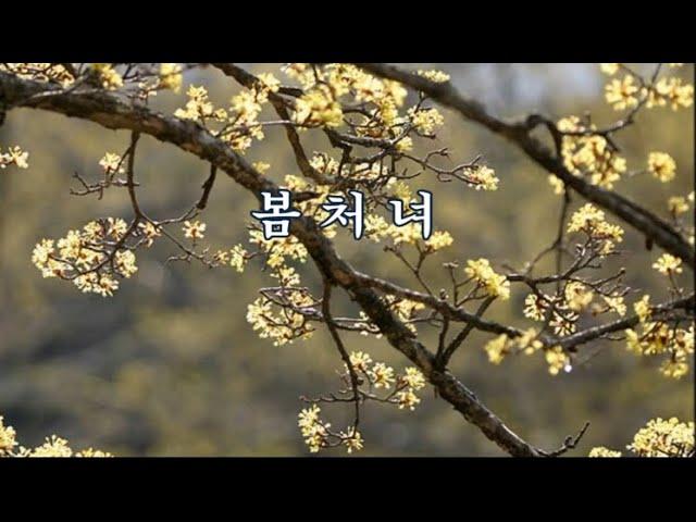봄처녀 -이은상 시, 홍난파 곡 -김인혜 노래 -한국가곡100선