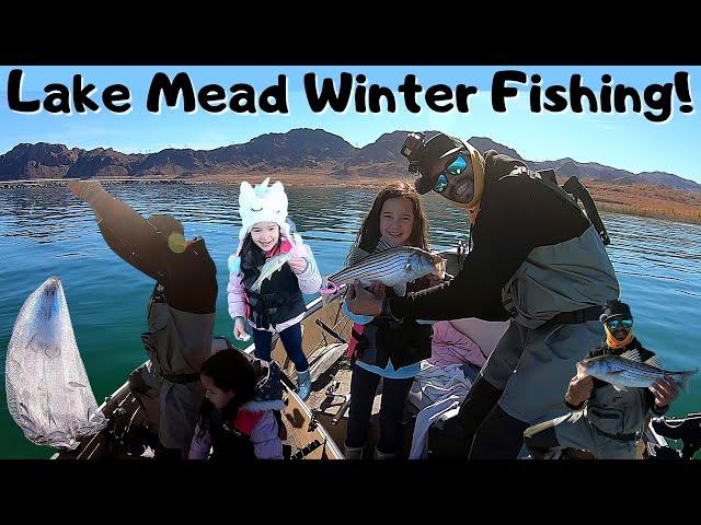 Lake Mead Winter Fishing! Fishing with Live Shad: Hemenway Harbor launch