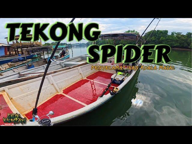 TEKONG SPIDER......penyelamat ikan di Kuala Masai