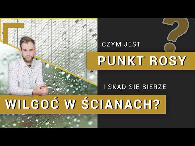Punkt rosy: czyli skąd się bierze wilgoć w ścianach?