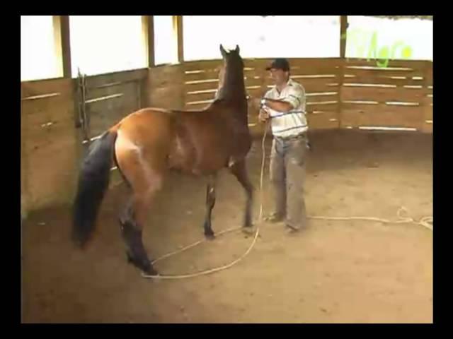 TV Agro Doma racional capítulo I parte 3.