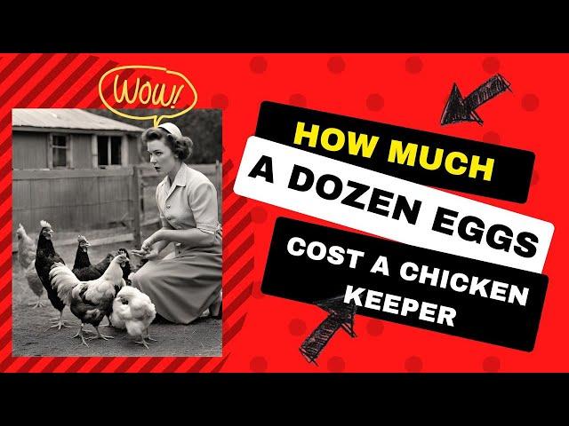 How much does a dozen eggs cost a homesteader?