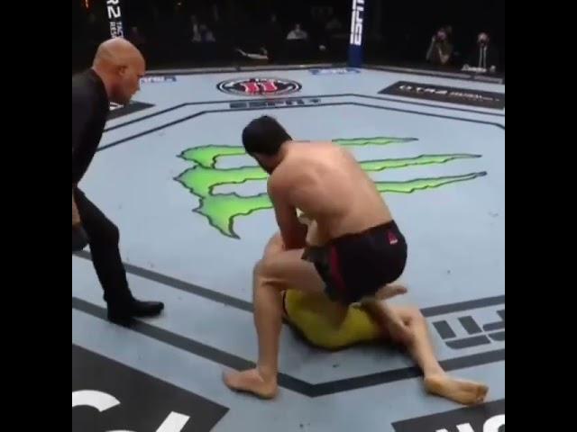 Magomed Ankalayev vs Ion Cuteleba jangi