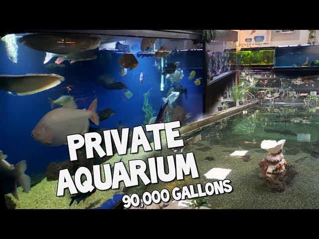 The World's Largest Private Home Aquarium Tour - MONSTER FISH at OHIO FISH RESCUE