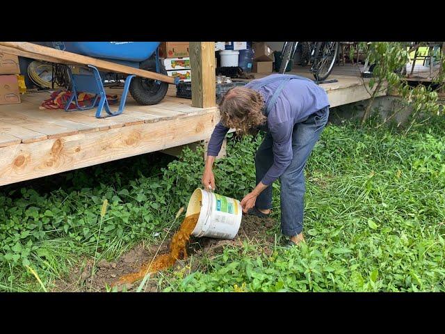 Enriching the Soil for Optimum Growing | Titus Morris’ Henson Creek School of Country Living