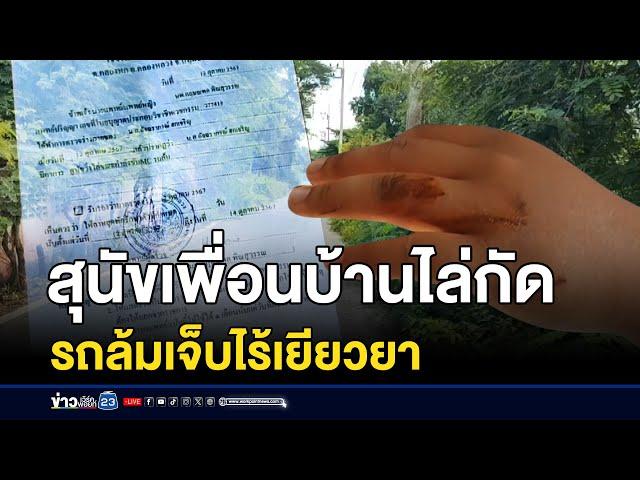 สุนัขเพื่อนบ้านไล่กัด รถล้มเจ็บไร้เยียวยา | บรรจงชงข่าว | 14 ตุลาคม 2567